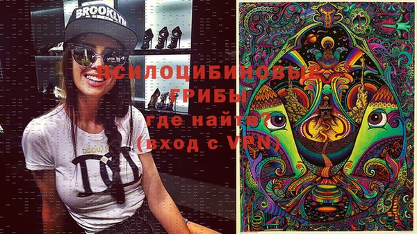 дурь Алзамай