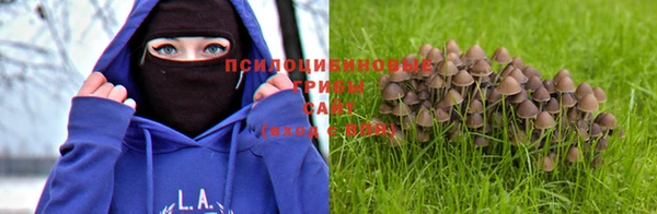 первитин Алексеевка