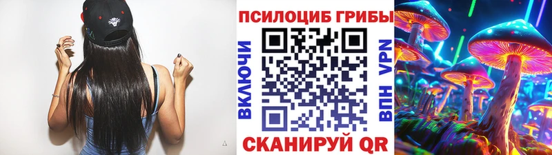 МЕГА зеркало  нарко площадка формула  Рошаль  Галлюциногенные грибы мухоморы  где можно купить наркотик 